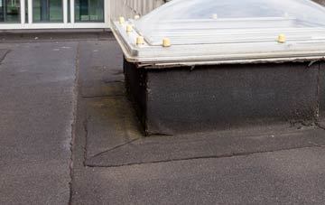 disadvantages of Downfield flat roofs