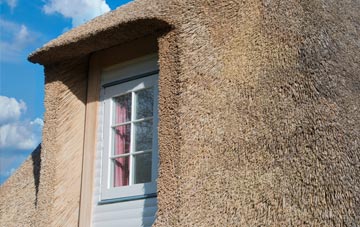 Downfield thatch roof disadvantages